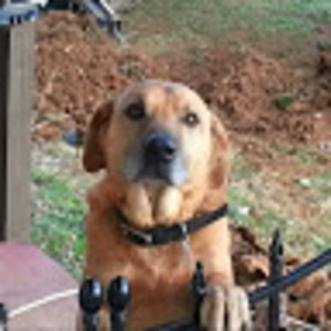 Meet your Posher, Darryl